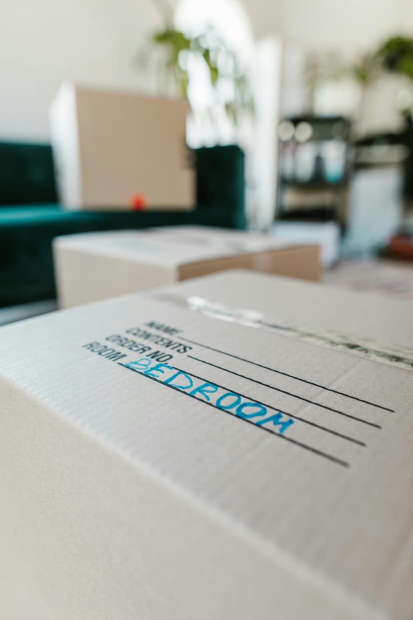 Cartons emballés et étiquetés pour déménagement international